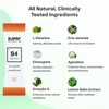 B4 v2 Capsules - 20 Servings - Natural Social Nootropic