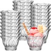 JOUTYFOR 22 Pack Plastic Dessert Cups 6 oz Clear Ice