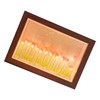 Tulip Light Photo Frame Flower Night Lamp Floral Picture Frame