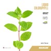 Clorofila líquida
