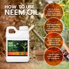 Yield Titan's 100% Pure Cold Pressed Concentrated Neem Oil for