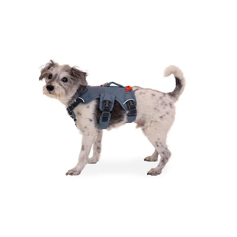 RUFFWEAR 1874137 Webmaster Harness (XXS, Red Smack) (RDSMC)