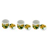 ACK 3D Sunflower 3pc Hand Painted Ceramic Canister Set with