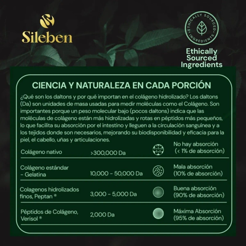 Dúo Sileben Colágeno Hidrolizado Péptidos 2000 Dalton 450 Sabor