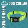 Alpha Pak | Dog Collar | Lightweight, Fast-Drying, Durable |