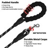 Rope Dog Leash 3 FT: Heavy Duty Leashes with Swivel