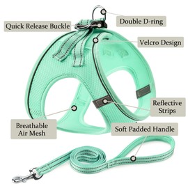 Dog Harness with Leash Set, No Pull Adjustable Reflective Step-in Puppy Pet Vest Harnesses for Small Medium Large Dogs and Cats,Green XS