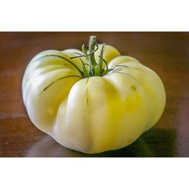 NIKA SEEDS - Vegetable Tomato Great White - 25 Seeds