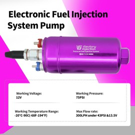 Gautory Universal External Inline Fuel Pump kit 300LPH High Flow 6AN 10AN 12V Violet Purple