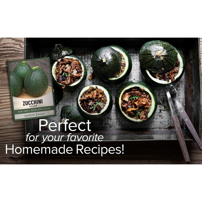 Round Zucchini Seeds for Planting Heirloom, Non-GMO Vegetable Summer Squash