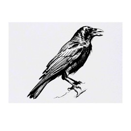Azeeda 'Sitzende Krähe' Temporäres Tattoo - Hautfreundlicher & Ungiftiger Abziehbild · Wasserfest (TO00071659)
