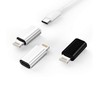 Adaptador tipo C tpc-to-L-3p-1H2Y-1