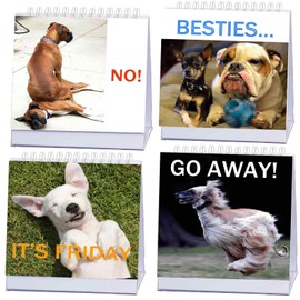 8.3'' x 6.7'' Funny Dog Desk Signs for Office, Ideal Gifts for Dog Lovers,Funny Office Accessories, Desk Gifts & Decor,Perfect for Secretary, Coworker & Home