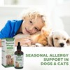 Cat & Dog Seasonal Allergy Relief, for Itching, Scratching and