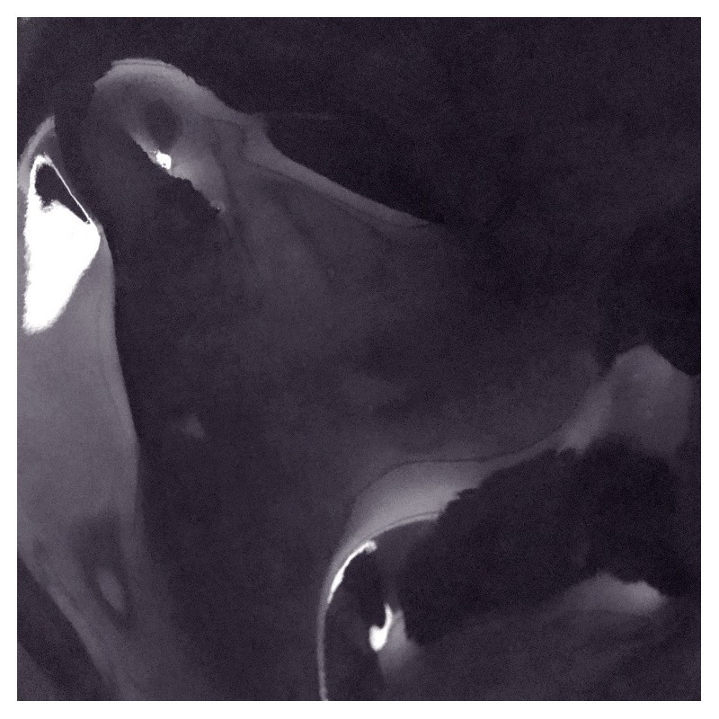 AOU Glowy Tint Balm 3.5g - 13 PRUNE BALM