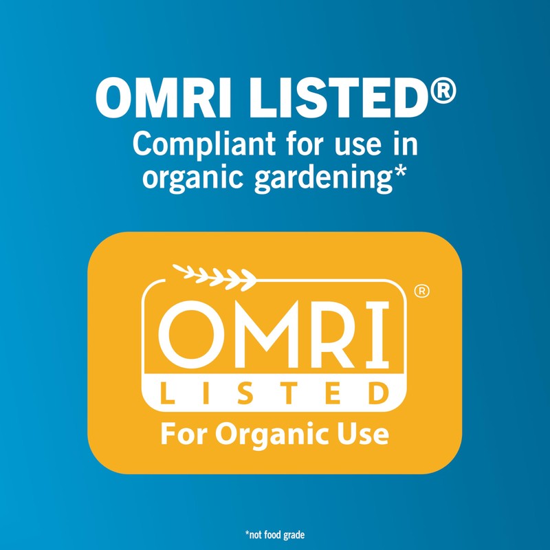 Safer Home Diatomaceous Earth 4 lb Organic OMRI DE -