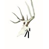 Mountain Mike's Reproductions Deer Positioner European Skull Wall Mount, Black