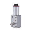 12V High Torque Worm Geared Motor, Geared Motor, DC Motor