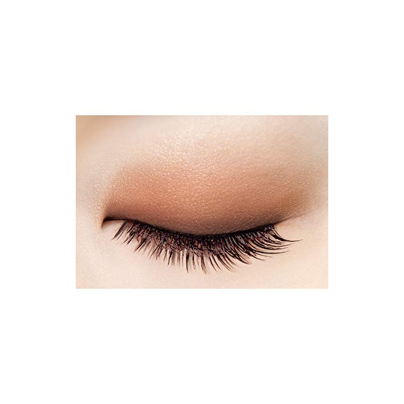 excel Skinny Rich Eye Shadow SR03 (Royal Brown) Palette Eye