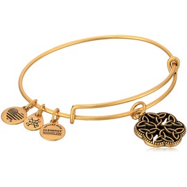 Alex and Ani Endless Knot III Rafaelian Gold Bangle Bracelet