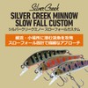 DAIWA Silver Creek Minnow Slow Fall Custom 40SS Chart Head