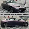 AuMoHall Matte Metallic Black to Charming Dark Purple Satin Chameleon