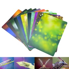 Guage Background Card Set for Macro Photography, 12 Pieces, 24 Colours (30 x 21 cm), Light-Absorbing Material, Ecological Blur Backgrounds for Macro Photography (A4 Sizes, 12 Pieces, 24 Colours)