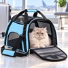 Blue Pet Carrier Bag for Cats and Small Dogs –