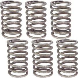 APUK 6x Valve Spring Inner Replacement for Landini Advantage Rex Trekker Vigneti 60 65 75 Tractor