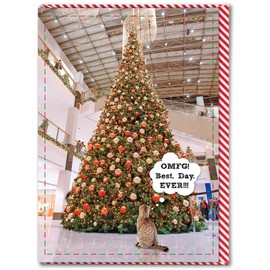 Brainbox Candy - Funny Christmas Card - 'Best Day Ever' - Cheeky Xmas Cards - For Friends, Family & Colleagues - Funny Cat Themed Christmas Card - 120mm x 170mm - Blank Inside