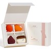 Jessup Juego de brochas para base de maquillaje con esponja,