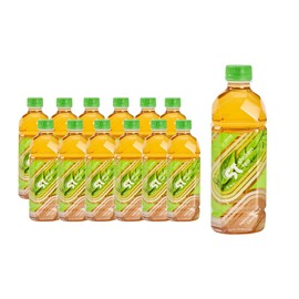 Shaken Passionfruit Green Tea - Asian Flavor Premium Iced Tea, Non-GMO, Real Leaf, 16.9 Oz Bottle (Pack of 12)