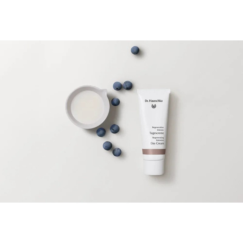 Dr. Hauschka Dr Hauschka Regenerating Intensive Day Cream 40ml
