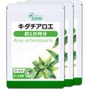 【リプサ公式】 キダチアロエ 約1か月分×3袋 C-145-3 サプリメント