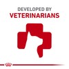 Royal Canin Feline Breed Nutrition Bengal Adult Dry Cat Food,