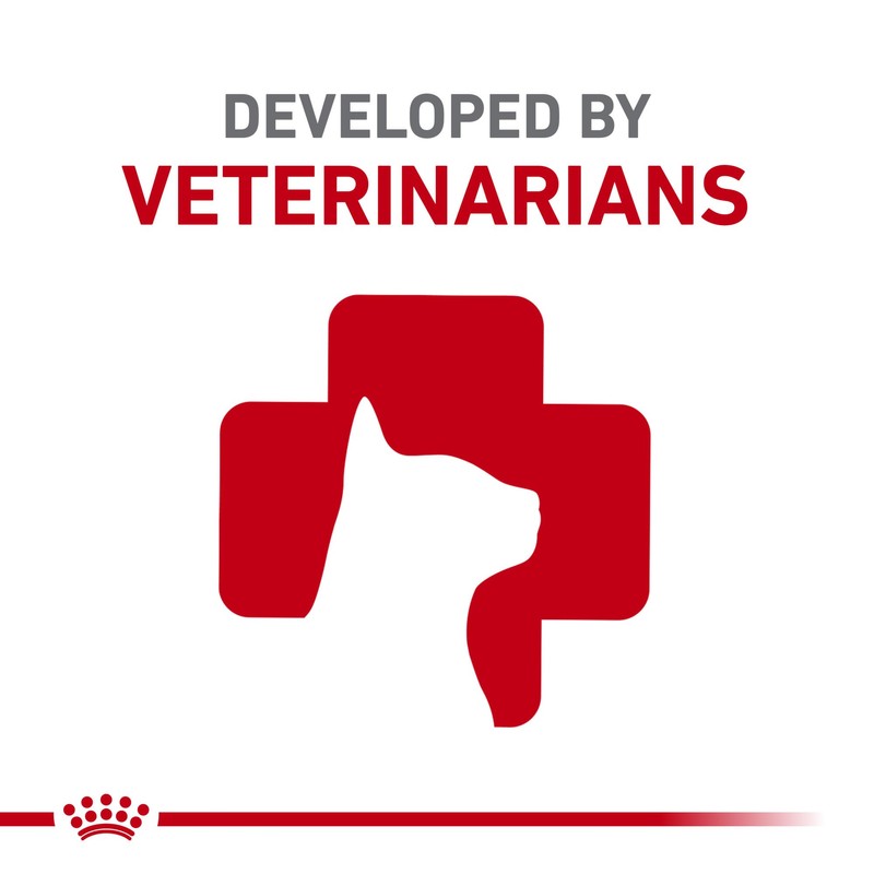 Royal Canin Feline Breed Nutrition Bengal Adult Dry Cat Food,
