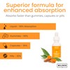 WellPath WellPath Liposomal Curcumin Supplement | Liquid Turmeric Drops with