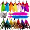 CATENEED Cat Feather Toys Refill Cat Wand Replacement Feathers, 16