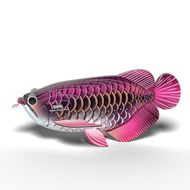 EUGY 118 Asian Arowana Eco Friendly 3D Paper Puzzle