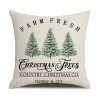 Christmas lights are us LLC Xmas Rustic Throw Cushion Case