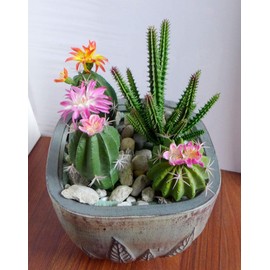 Artificial Flowers Set of 4 Three Different Succulents Plants Desert Cactus Realistic Flower Arrangements Craft Art Decor Plant for Indoor Outdoor Decoration