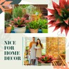 Giegxin 2 Pack 28 Inch Artificial Agave Plants Red UV