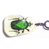 SUPER SPECIAL INSECT GIFT NECKLACE PENDANT - Green Rose Chafer