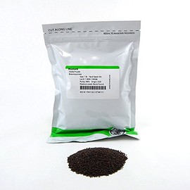 Osaka Purple Mustard Seeds: 1 Lb - Non-GMO Seeds for Japanese Microgreens, Micro Herb Greens, Vegetable Garden
