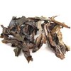 Loose Leaf Organic Oolong Tea - 50g