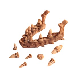 Dragon Fang Dice Set with Jawbone Stand