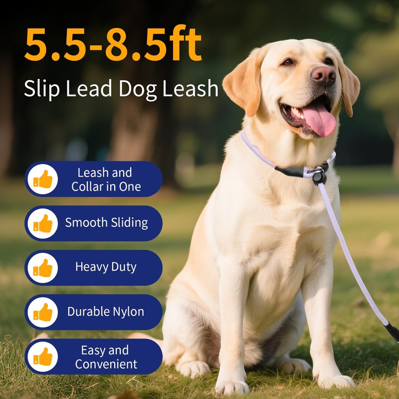 Kazazoo Slip Lead Dog Leash, Hands-free No Pull Training Leash