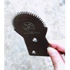 Dolphin Shop, Coconut Scraper Grater Stainless Steel Shredder Serrated Grinder