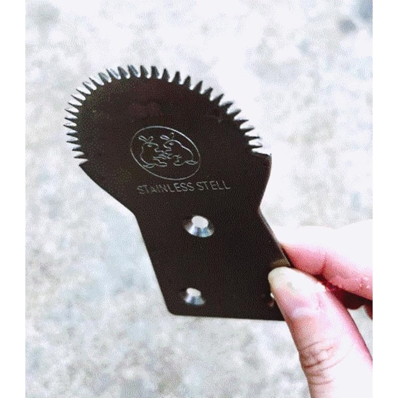 Dolphin Shop, Coconut Scraper Grater Stainless Steel Shredder Serrated Grinder