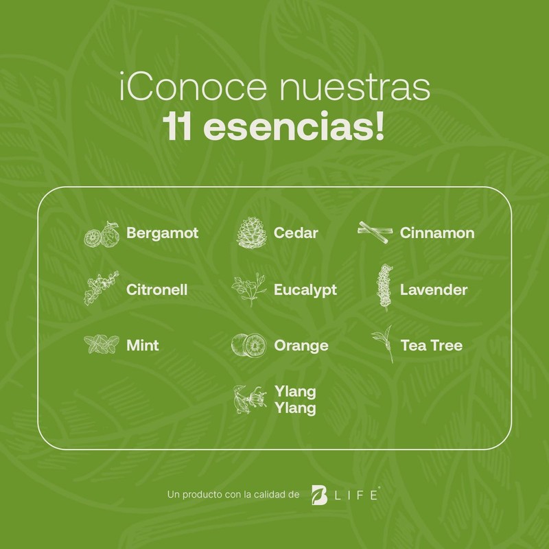 Aceite Esencial con Ingredientes Puros y Naturales, Aromalogía de 50